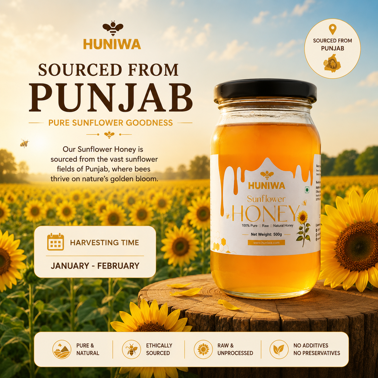 HUNIWA Sunflower Honey | Natural Floral Honey